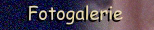 Fotogalerie